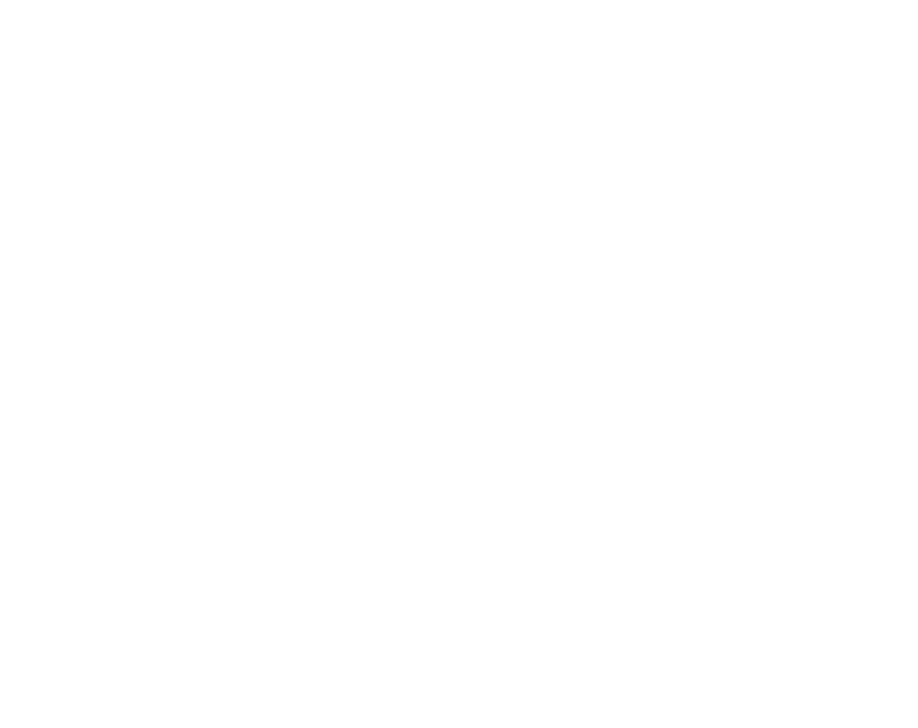 white elephant