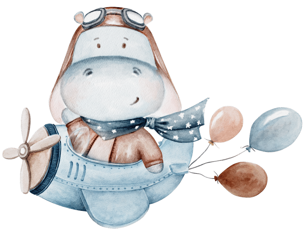 hippo on a plane