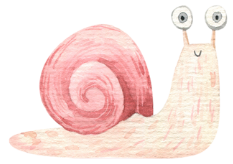 snail graphic